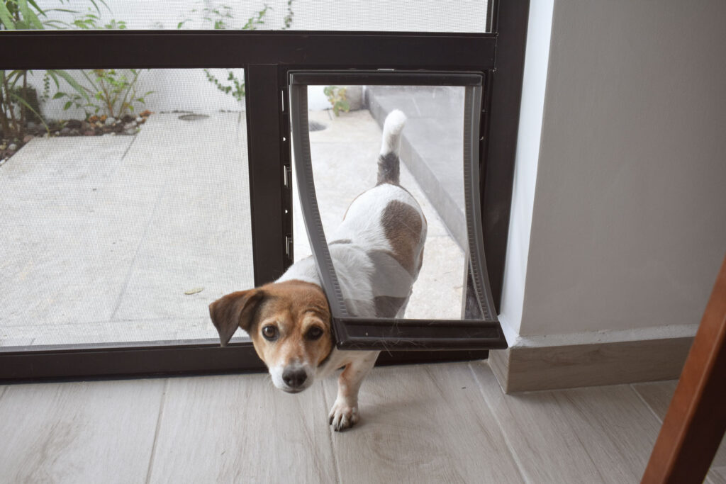 Hervey Bay Screens and Blinds, Hervey Bay Screens, Hervey Bay, Security Windows, Plantation Shutters, Interior Blinds, Exterior Blinds, Pet Doors, Flyscreens, Wardrobe Doors, Exterior Awnings, Zipscreen Blinds, Automated Blinds